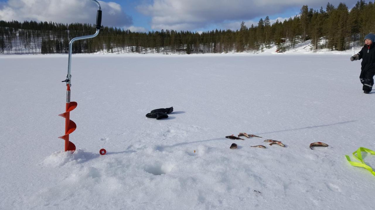 Syoete Huuhkamajat Cottage エクステリア 写真